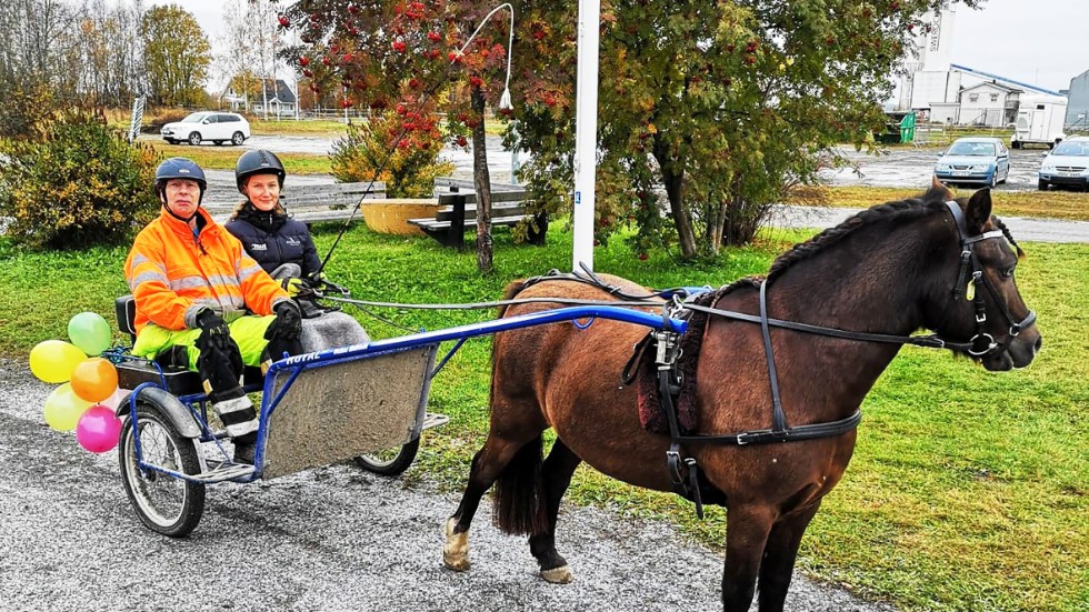 Nils-Olov "Olle" Nordberg älskar att åka häst och vagn. Så 70-årsdagen till ära körde kusken Stina Keskitalo runt "Olle" ett varv tillsammans med hästen Galax. 
