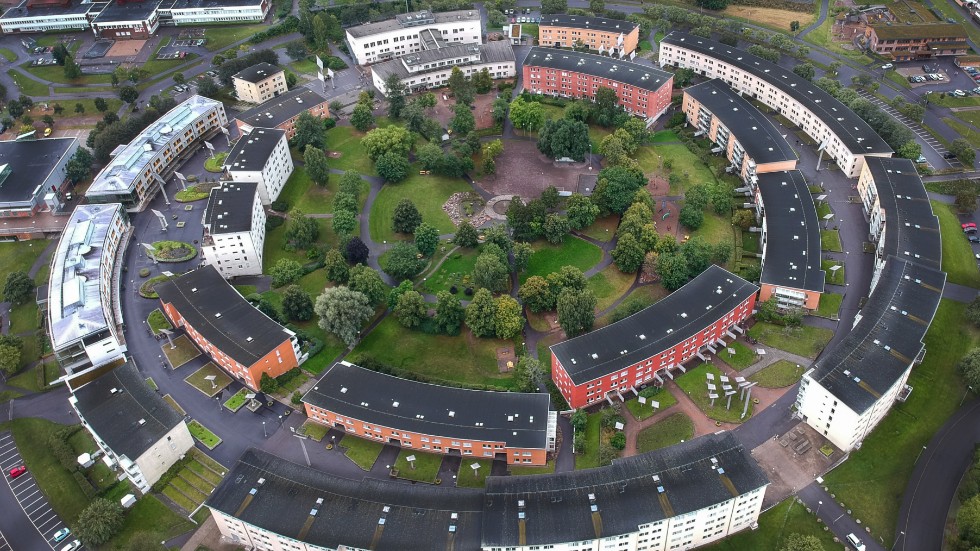 Det är inte bara Norrköpings innerstad som har fina innergårdar. Den cirkelformade och lummiga oasen i Guldringen är ett bevis på att även ytterområdena kan.