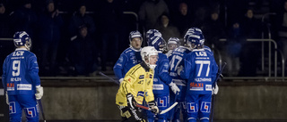 UPPSNACK: Kan sviten förlängas för IFK?