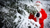 Tomtesmyg inleder julen i Mariannelund