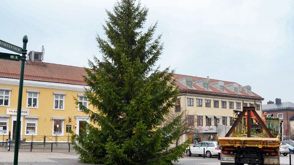 Det raskar mot jul igen. Kommunen har fått god hjälp av allmänheten i sökandet efter offentliga granar. På måndag ska den första upp. Det blir på torget i Vimmerby.