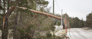 Strömavbrott på Gotland - runt 250 drabbade