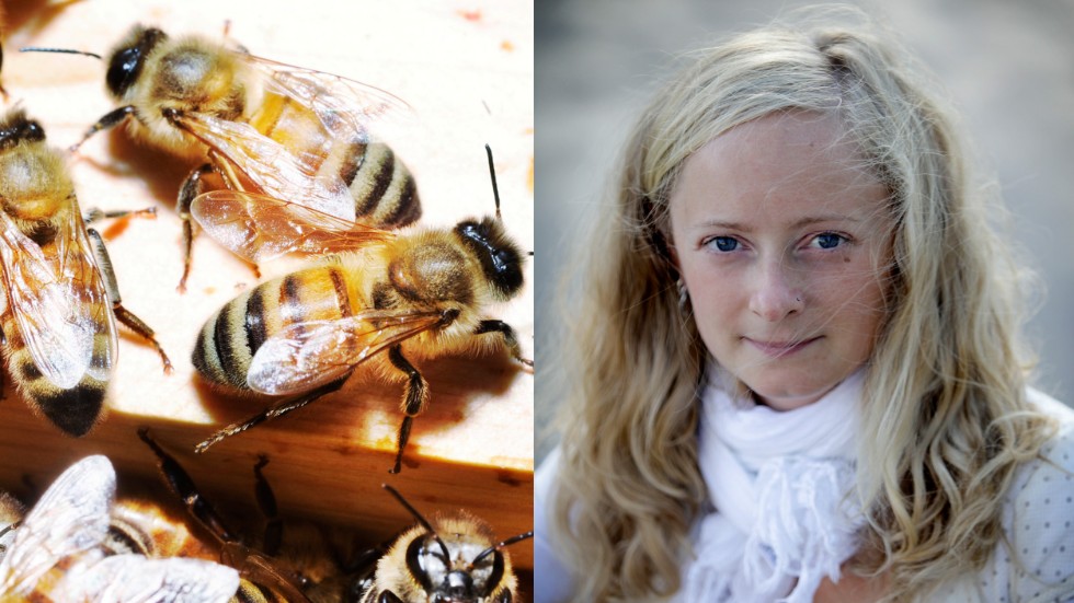 Alexandra de Paoli, som arbetar med projektet Hälsa från bikupan, som drivs av föreningen Svenska bin sedan två år tillbaka, kommer och föreläser i Västervik på söndag. 