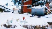 Häktad för fem år gammalt mord i Norrbotten