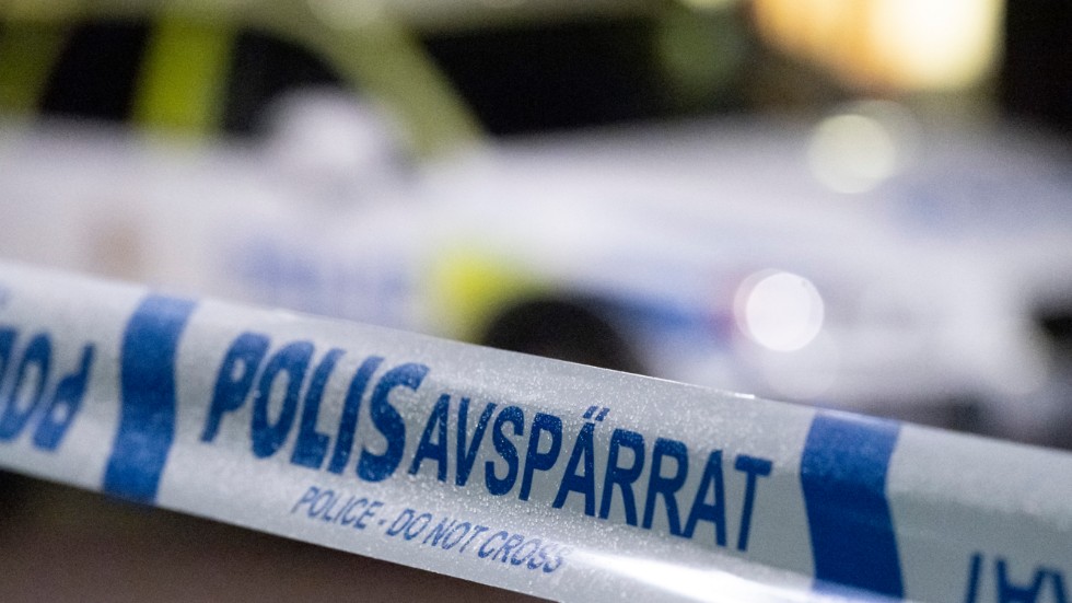 Två män greps i Finspång, misstänkta för att ha misshandlat en annan man. 