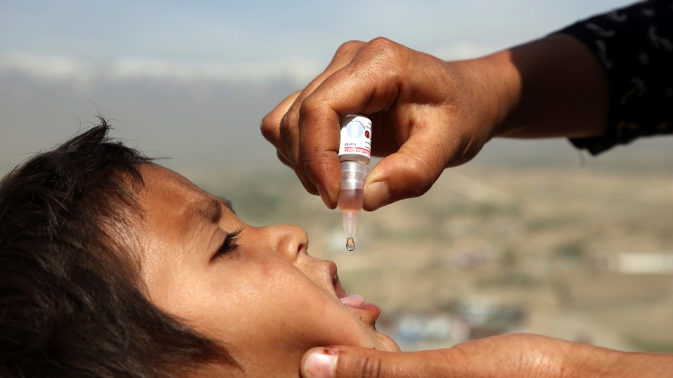 Polio kan bli den andra sjukdomen i modern tid som människan lyckas utrota.