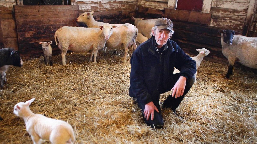 Kaj Sjunnesson – en stark fårprofil i Sörmland har gått ur tiden.