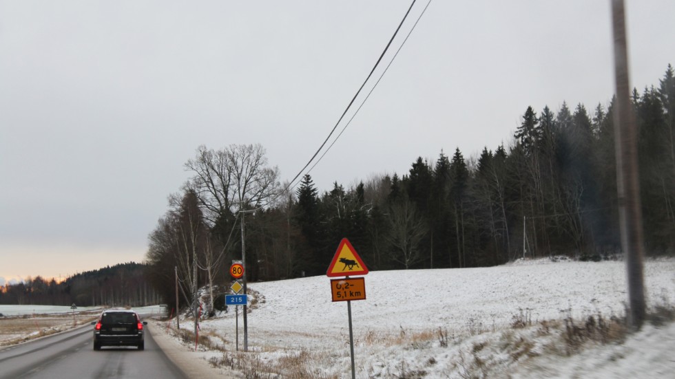 Det finns skyltar uppsatta på vägen som meddelar att det finns vilt i området. 