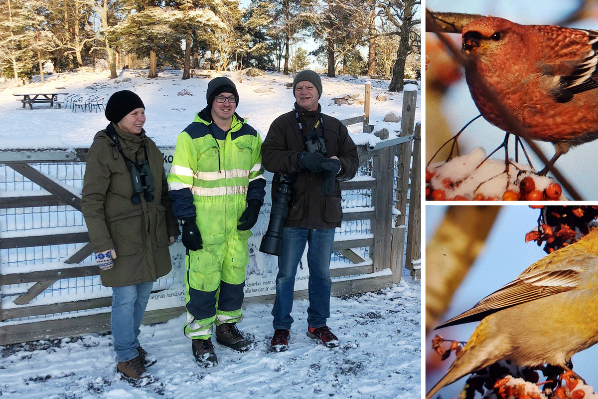 Vad Händer Om Ryssland Invaderar Sverige