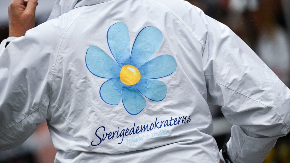Det har varit turbulent hos Sverigedemokraterna i Norrköping. När nu Madeleine Laine har hoppat av är det sex ledamöter som lämnat partiet. 