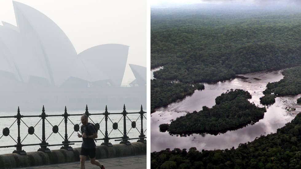 Brandrök i Sydney och utrotningshotade växter i Afrika.