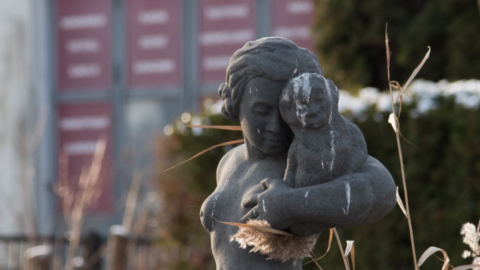 "Flickan med maskot" heter den lilla statyn i stadsparken. Den är skänkt av Västerviks folkets park till Västerviks kommun.  