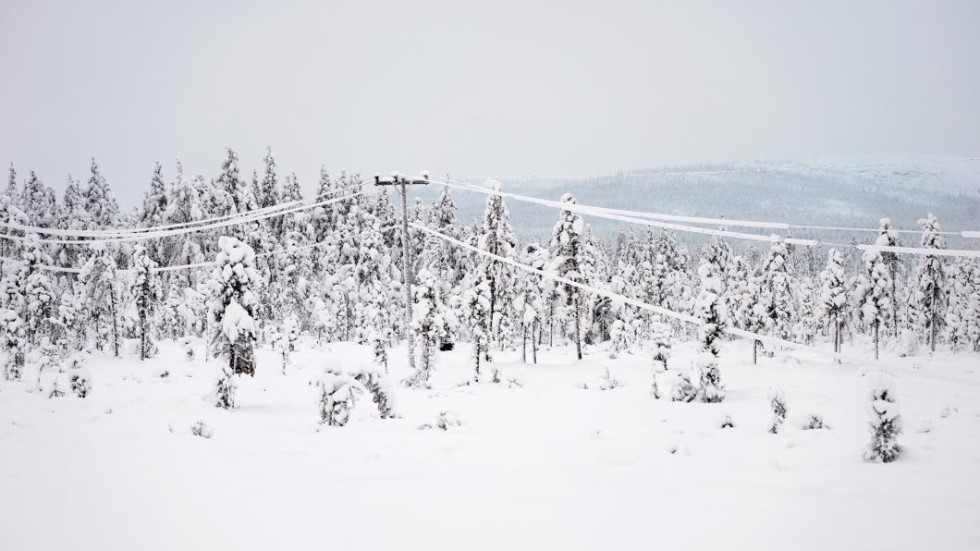 Ett stort snöfallsområde drar in över Norrbotten söderifrån idag.