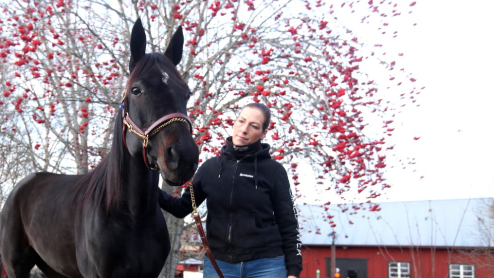 Hemma på gården kan både stoet Divine och tränaren Anna Österberg njuta av lugnet.