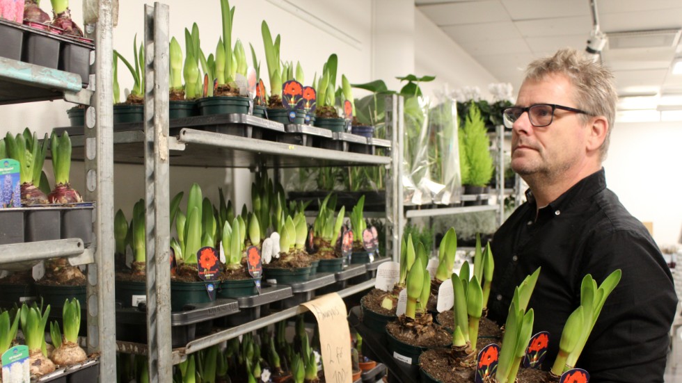 Christer Ringholm har varit i blomsterbranschen i 30 år. Nu öppnar han ny butik i Finspång.
