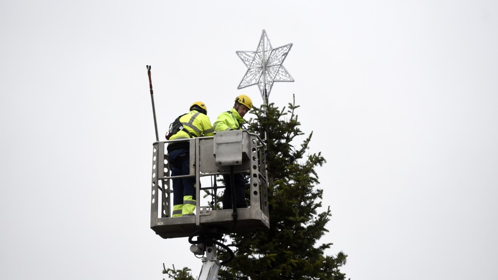 Parkarbetaren Mårten Olofsson och projektledaren Kjell Bjernman monterar julstjärnan i toppen på granen.