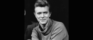 Uppsalabo tar David Bowie till hemstaden