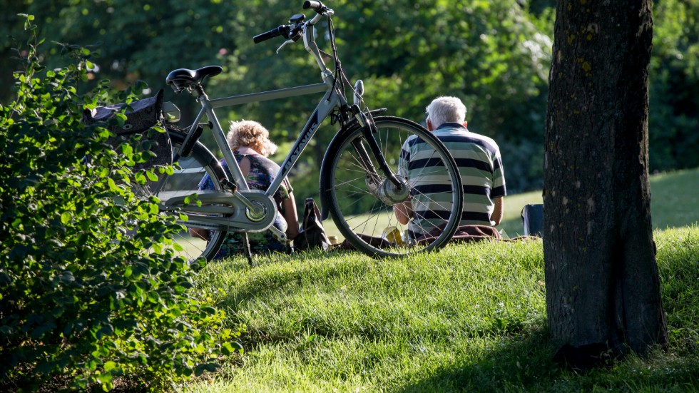 Picknik i det gröna, allt fler väljer att ta cykeln ut på semestern.
