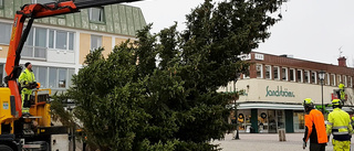 Julgranen på plats på torget i Vimmerby