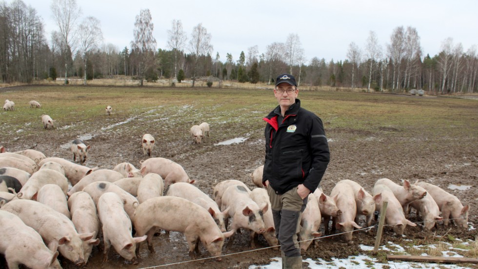 2016 började Håkan Jonsson att själv föda upp smågrisar, tidigare hade han köpt från andra producenter. 