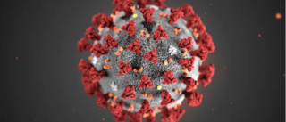 Corona: Tio svar om viruset SARS-CoV-2    
