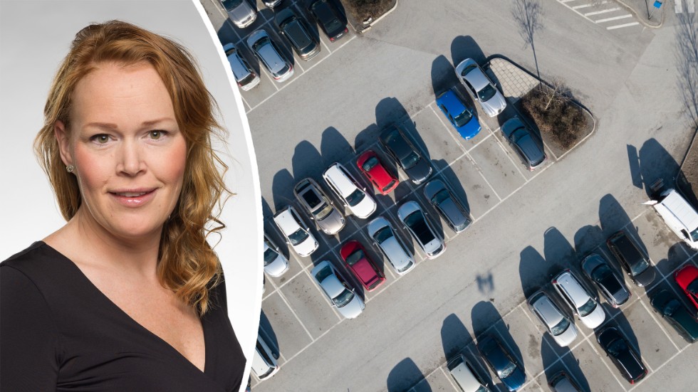 Therez Almerfors vill utreda hur många parkeringsplatser det ska finnas i nybyggnadsprojekt.