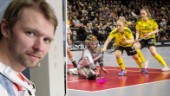 Endre värvar tidigare Visby IBK-spelare
