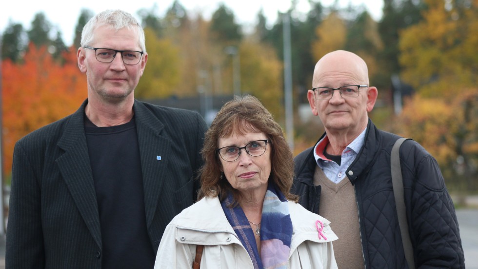Lennart Davidsson,  Åke Nilsson och Gudrun Brunegård sätter fingret på ett landsbygdsproblem, och tar upp kampen mot tomma, övergivna och förfallna hus.