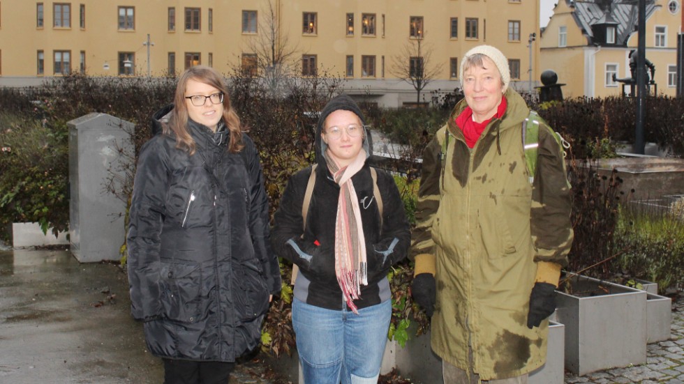 Stina Sköld, Hilma Schenström och Lotta Lanne är alla tre engagerade i Fridays For Future och är med och arrangerar klimatmarschen på Black Friday.