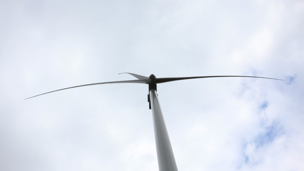 Länsstyrelsen säger nej till företagets ansökan om vindkraftverk i Tönshult. Men företaget har inte helt avskrivit planerna.