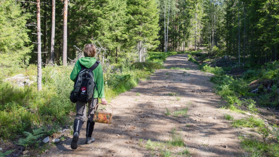 Scouterna och Sveaskog vill locka barn, ungdomar och vuxna som normalt inte tar sig ut i skogen.