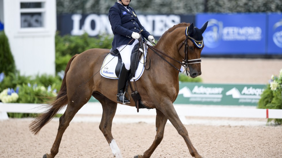 Louise Etzner Jakobsson och hästen Zernard har haft en bra säsong med EM-silver- och brons samt NM- och SM-guld. De tävlar i paradressyr grad 4.