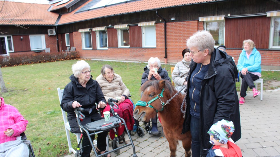 Gnägg, glögg och pepparkakor. På onsdagseftermiddagen anordnades en trevlig höstaktivitetsdag utomhus för de boende på Edshöjdens serviceboende i Edsbruk. 
