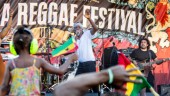 De är klara för nästa års reggaefestival