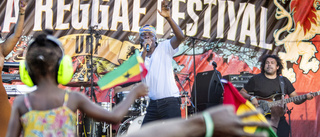 De är klara för nästa års reggaefestival