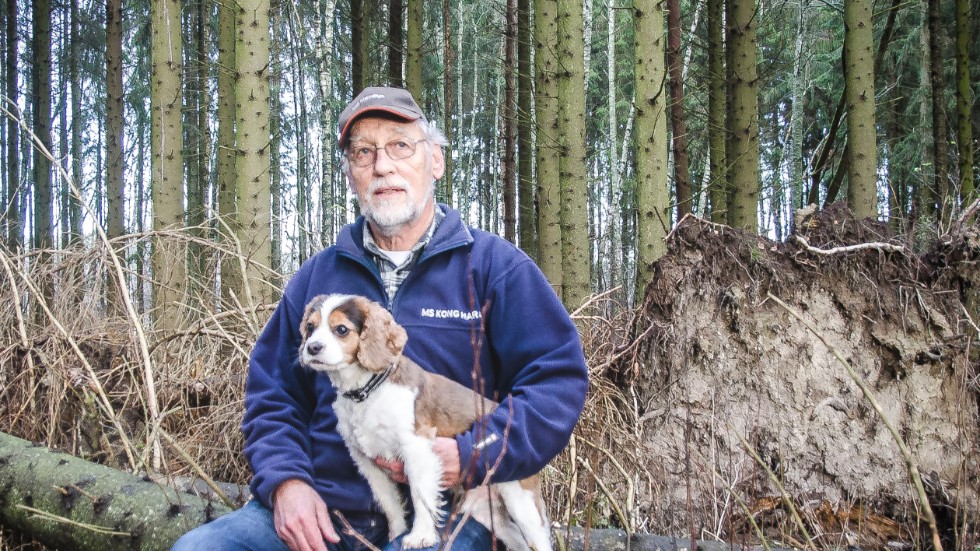 Ingemar Gustavson och hunden Ludde gillar att promenera i området. Men de undviker skogsstigen när det blåser. 