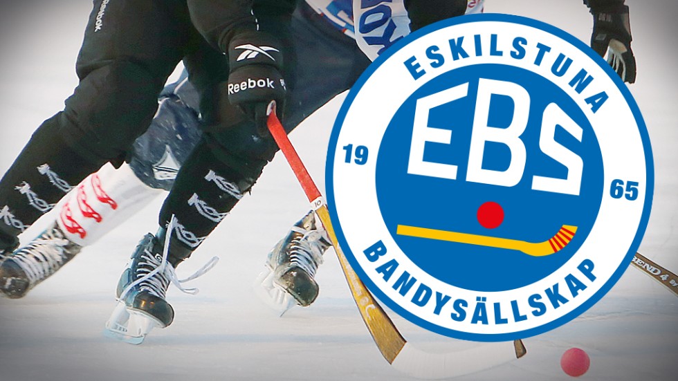 EBS förlorade under söndagen borta mot Norrtälje med 8–5.
