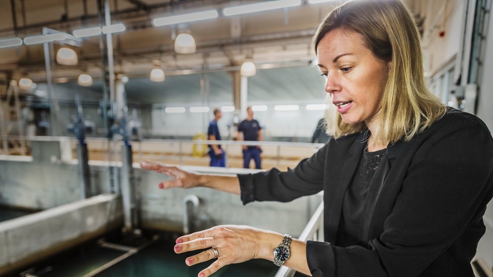 Gränby vattenverk har stora reningsbassänger. Två reningsverk finns i Uppsala i dag. Nu planerar kommunen att bygga ett tredje, berättar Maria Lindqvist Pettersson.