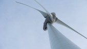 Kommunen ställer krav på vindkraftpark