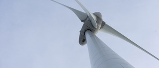 Kommunen ställer krav på vindkraftpark