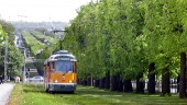 Så vill kommunen rädda Promenaderna