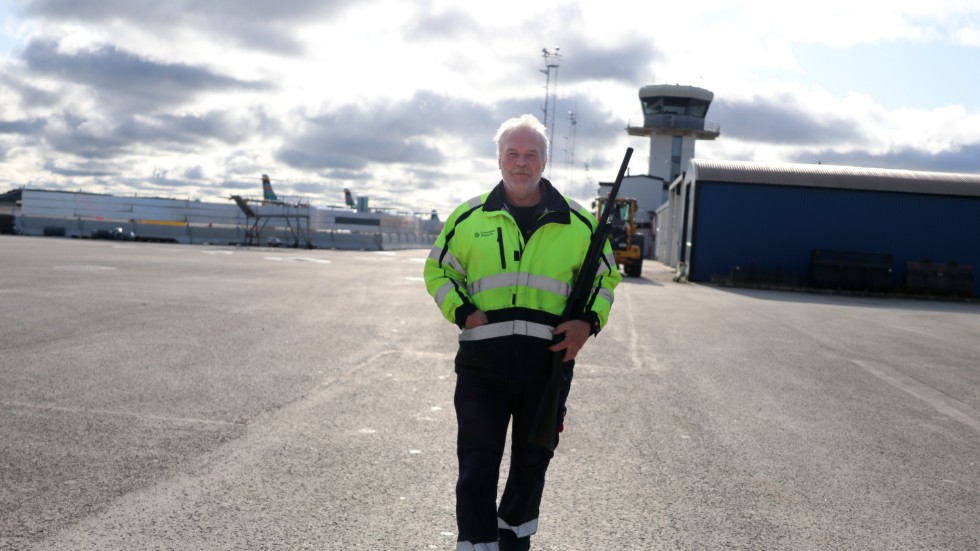 Leif Jacobsson är en av skyddsjägarna på Visby flygplats. Men det hör till ovanligheterna att man tvingas skjuta djur som hotar flygsäkerheten, det är den sista åtgärd man tar till.