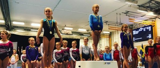 Lyckad helg för unga EGF-gymnaster