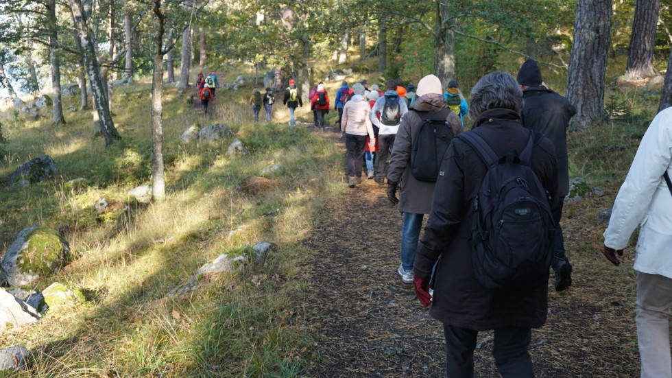 Ett 60-tal personer deltog i vandringen som startade vid Rosersbergs slott och gick över hagmarker, i bokskog med mera förbi Steninge slott fram till Sigtuna stad.