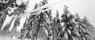 Väder: Mulet väder med snöfall