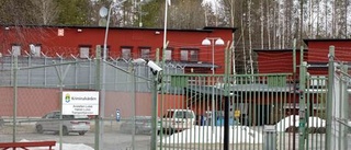 Två Piteåbor häktade för villainbrott