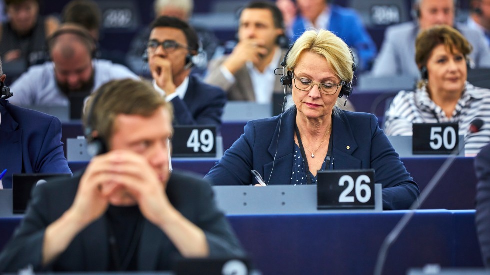Den svenska europaparlamentarikern Heléne Fritzon (S), påpekar jämställdhetens betydelse för den gröna omställningen.