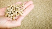 Energibolag i Julita har gått i konkurs