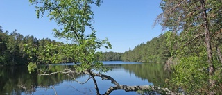 Här är länets 15 nya naturreservat