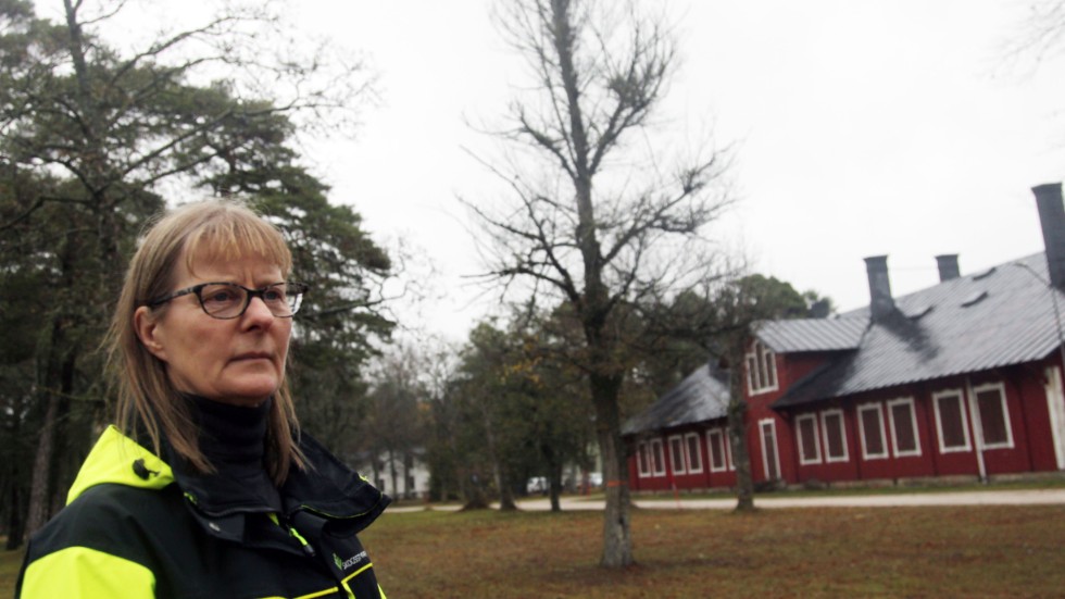 Karin Wågström är skogskonsulent och har jobbat med att rädda almarna sedan 2006. Hon har hopp om almarnas framtid. 
